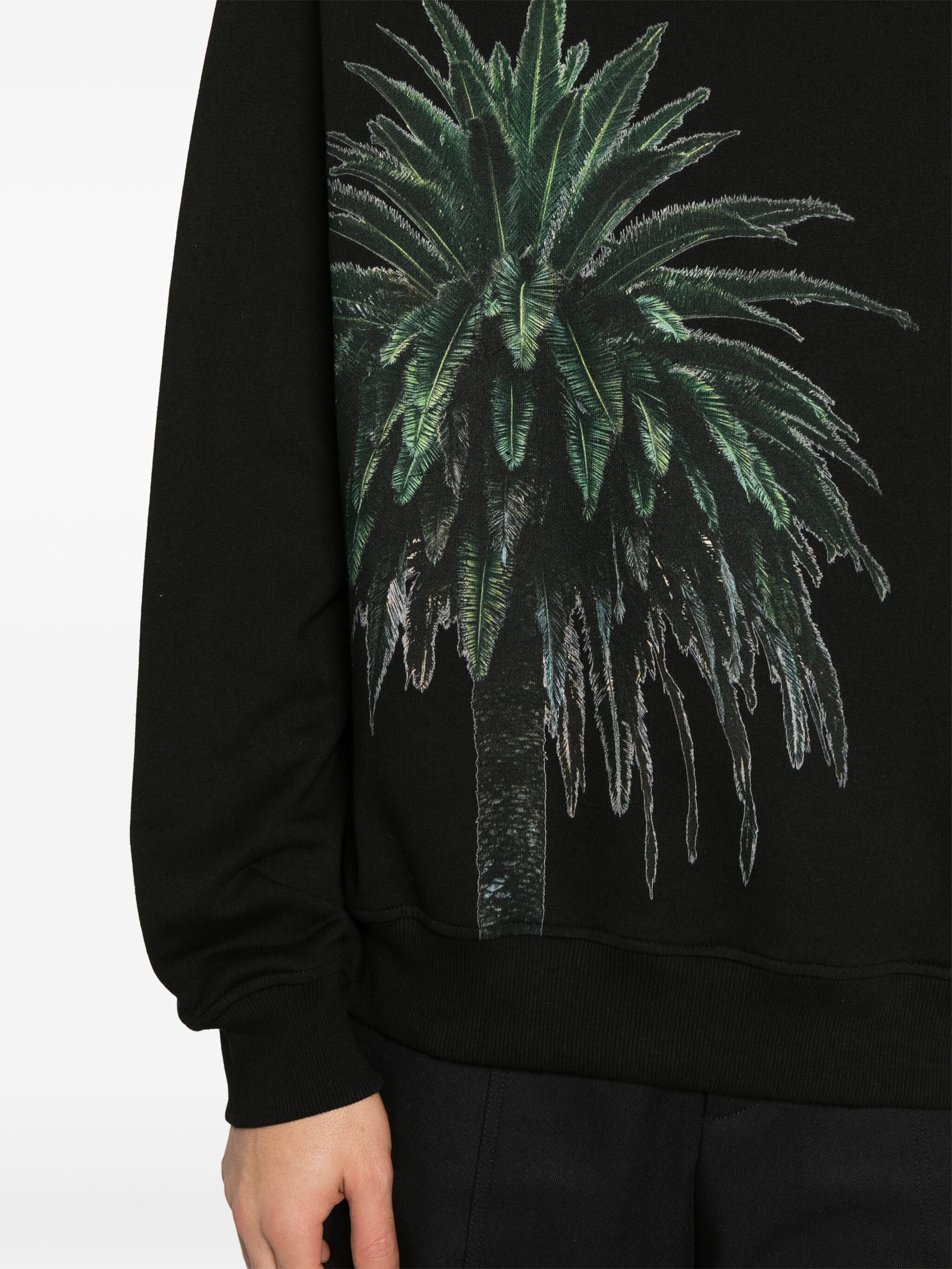 Royal Palm Hoodie