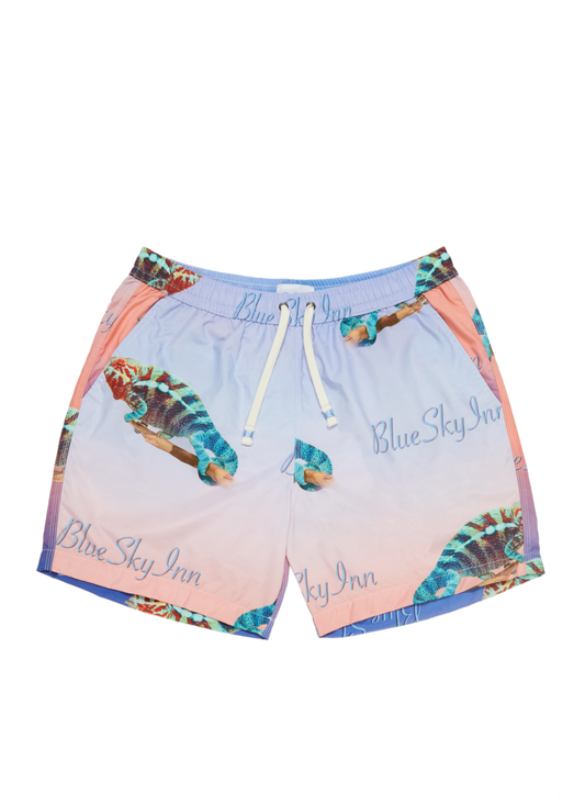 Swim Trunks