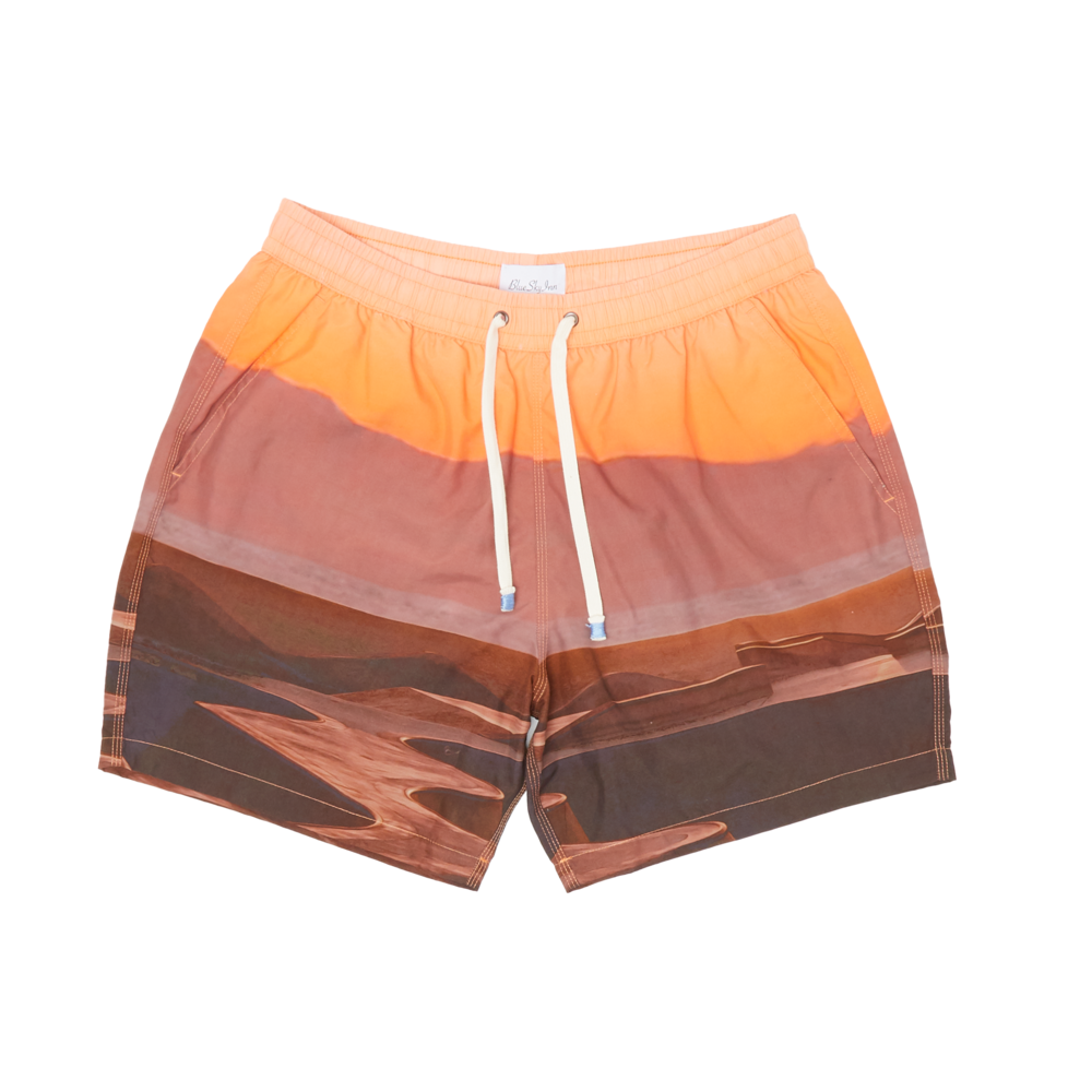 Skate Bowl - Swim Trunks